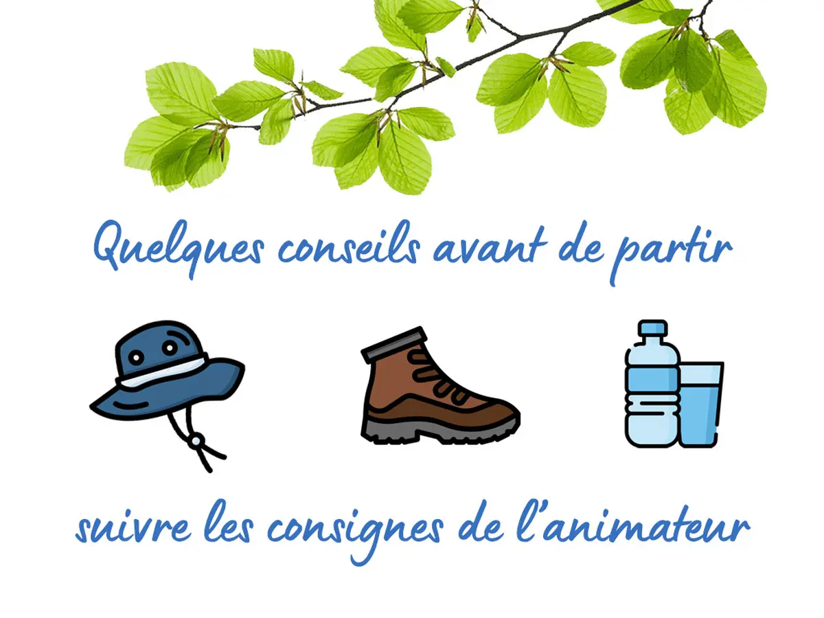 Randonnée pédestre avec Rando Nature bientôt Noël !