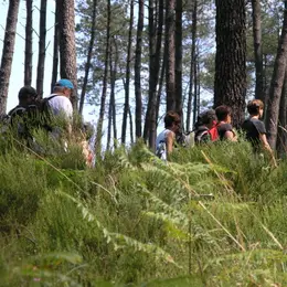 Randonnée pédestre en forêt