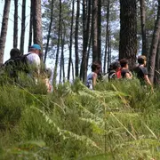 Randonnée pédestre en forêt