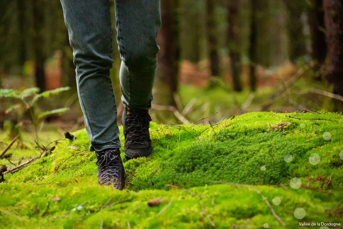 Randonnée pédestre Entre rives et coteaux
