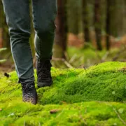 Randonnée pédestre Entre rives et coteaux