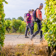 Randonnée pédestre et repas