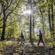 Randonnée pédestre et VTT