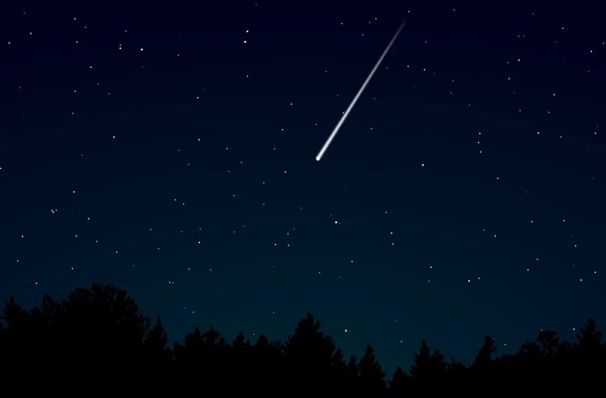 Randonnée pédestre | La nuit des étoiles filantes