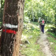 Randonnée pédestre La Régalade des 3 Clochers à Castelnau de Mandailles