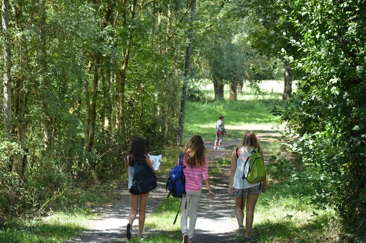 Randonnée pédestre La Transballu