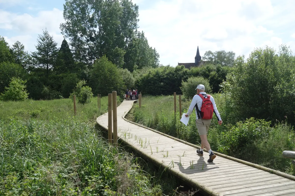 Randonnée pédestre Le Bois sent bon à Souesmes