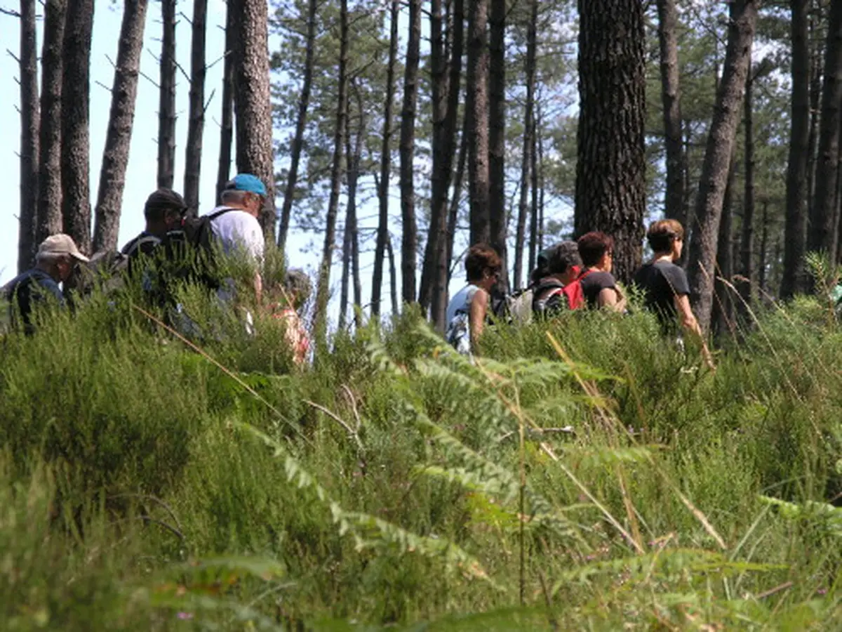 Randonnée pédestre Le circuit du moulin de Binaou