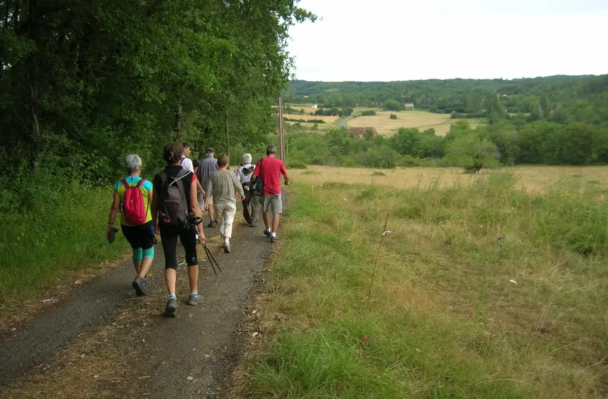 Randonnée pédestre nocturne | Les larmes de Saint-Laurent