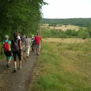 Randonnée pédestre nocturne | Les larmes de Saint-Laurent