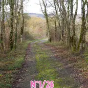 Randonnée pédestre Randoval