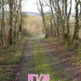 Randonnée pédestre Randoval