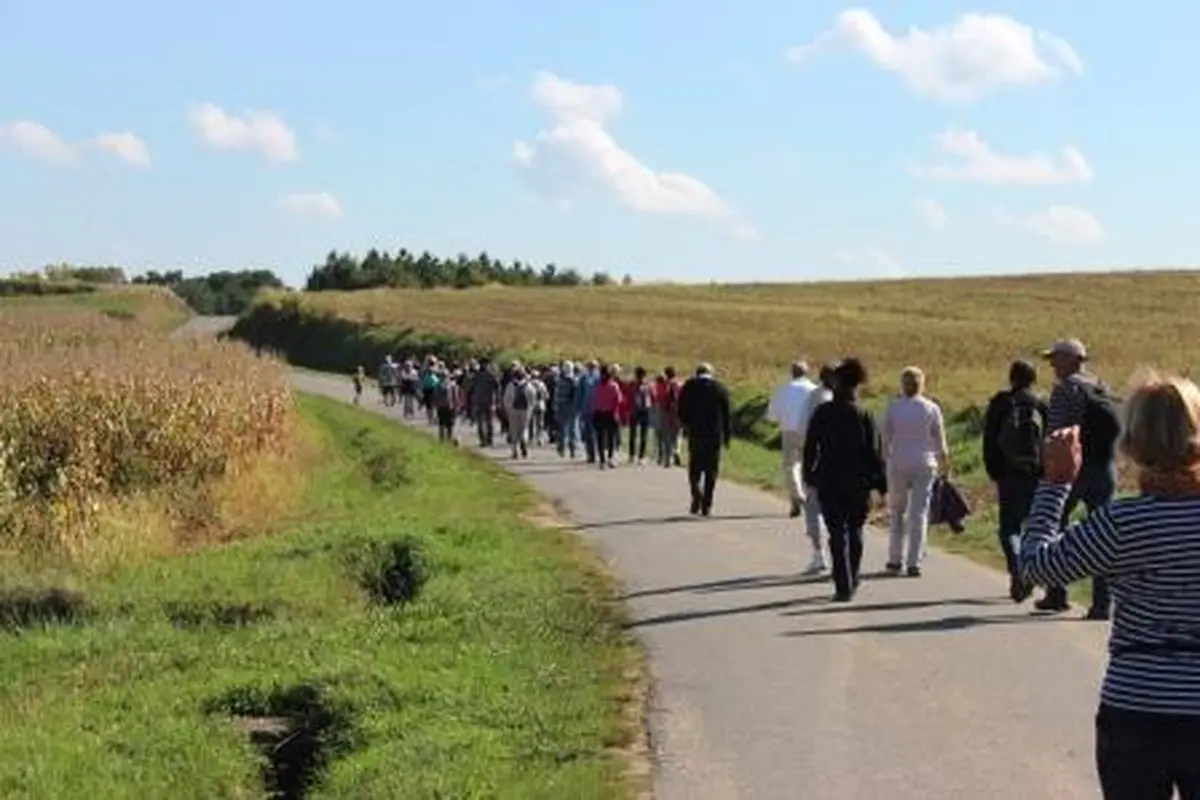 Randonnée pédestre : Sentier de la Pomme de Pin