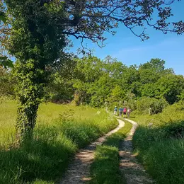 Randonnée Pédestre Trotte Cailloux