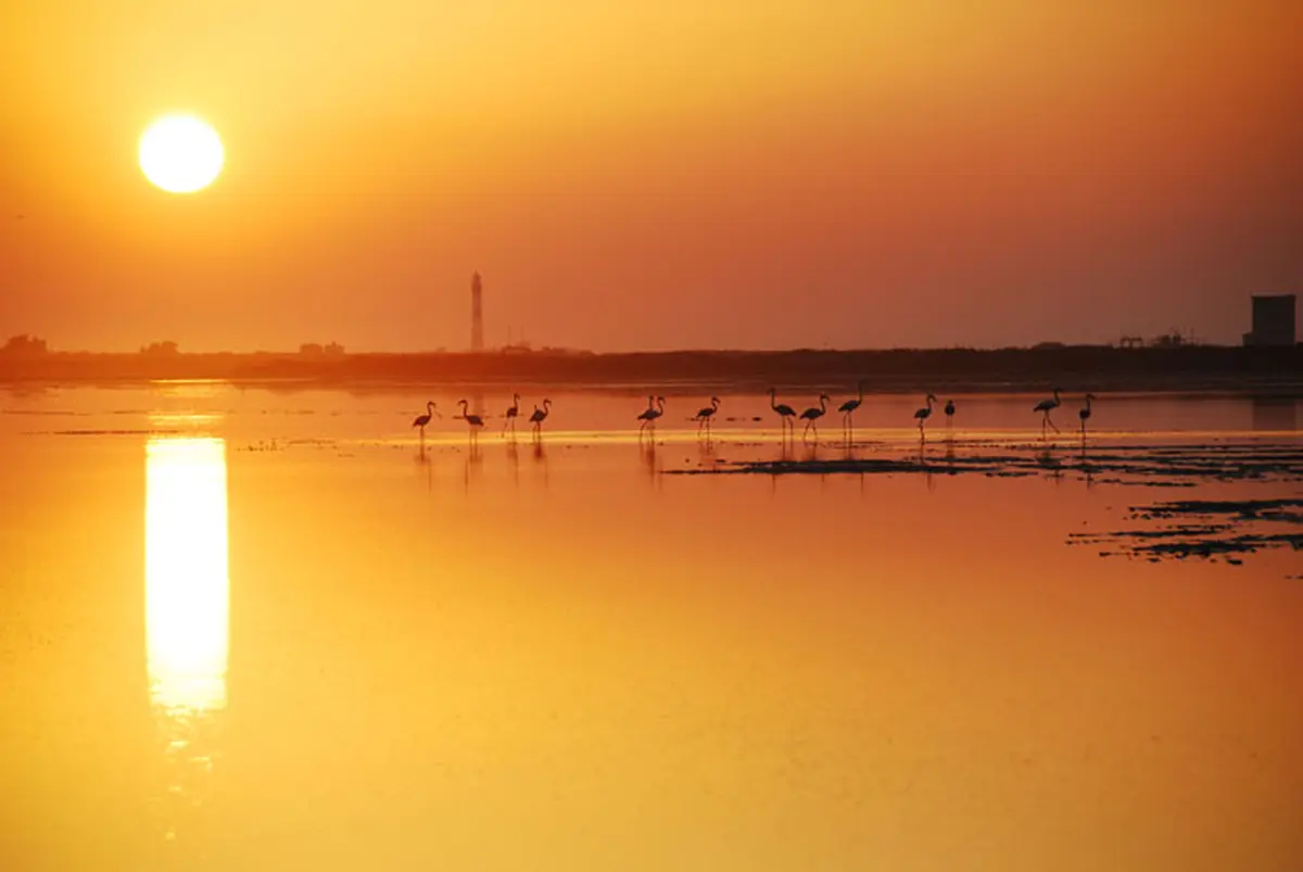 Randonnée Petite Camargue coucher de soleil
