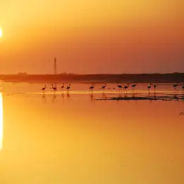 Randonnée Petite Camargue coucher de soleil