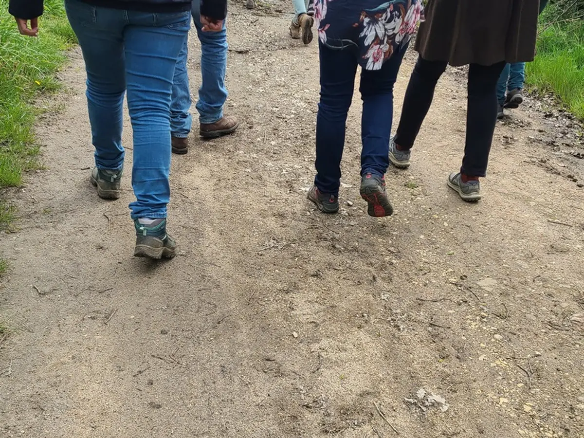 Randonnée pour combattre le cancer