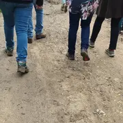 Randonnée pour combattre le cancer