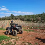 Randonnée Quad à Carcès près de Draguignan (83)