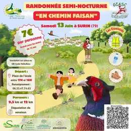 Randonnée semi-nocturne en chemin faisan