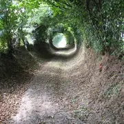 Randonnée sorcellerie à La Ferrière-Harang