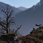 Randonnée Sous les ailes du vautour fauve