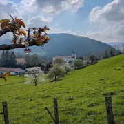 Randonnée sous les ailes du vautour fauve