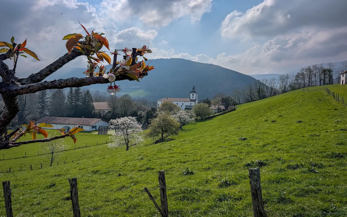 Randonnée sous les ailes du vautour fauve