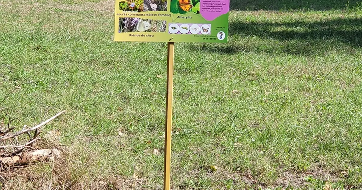 Randonnée spectacle dans la forêt du Landais