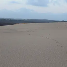 Randonnée sur la Dune du Pilat au lever du soleil