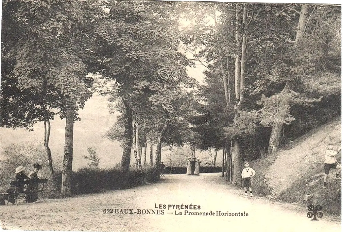 Randonnée sur la Promenade Horizontale des Eaux Bonnes : l'histoire de la forêt pyrénéenne et des arbres de l'Impératrice