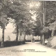 Randonnée sur la Promenade Horizontale des Eaux Bonnes : l'histoire de la forêt pyrénéenne et des arbres de l'Impératrice
