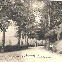 Randonnée sur la Promenade Horizontale des Eaux Bonnes : l'histoire de la forêt pyrénéenne et des arbres de l'Impératrice