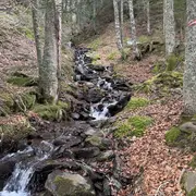 Randonnée sur les traces de la faune sauvage