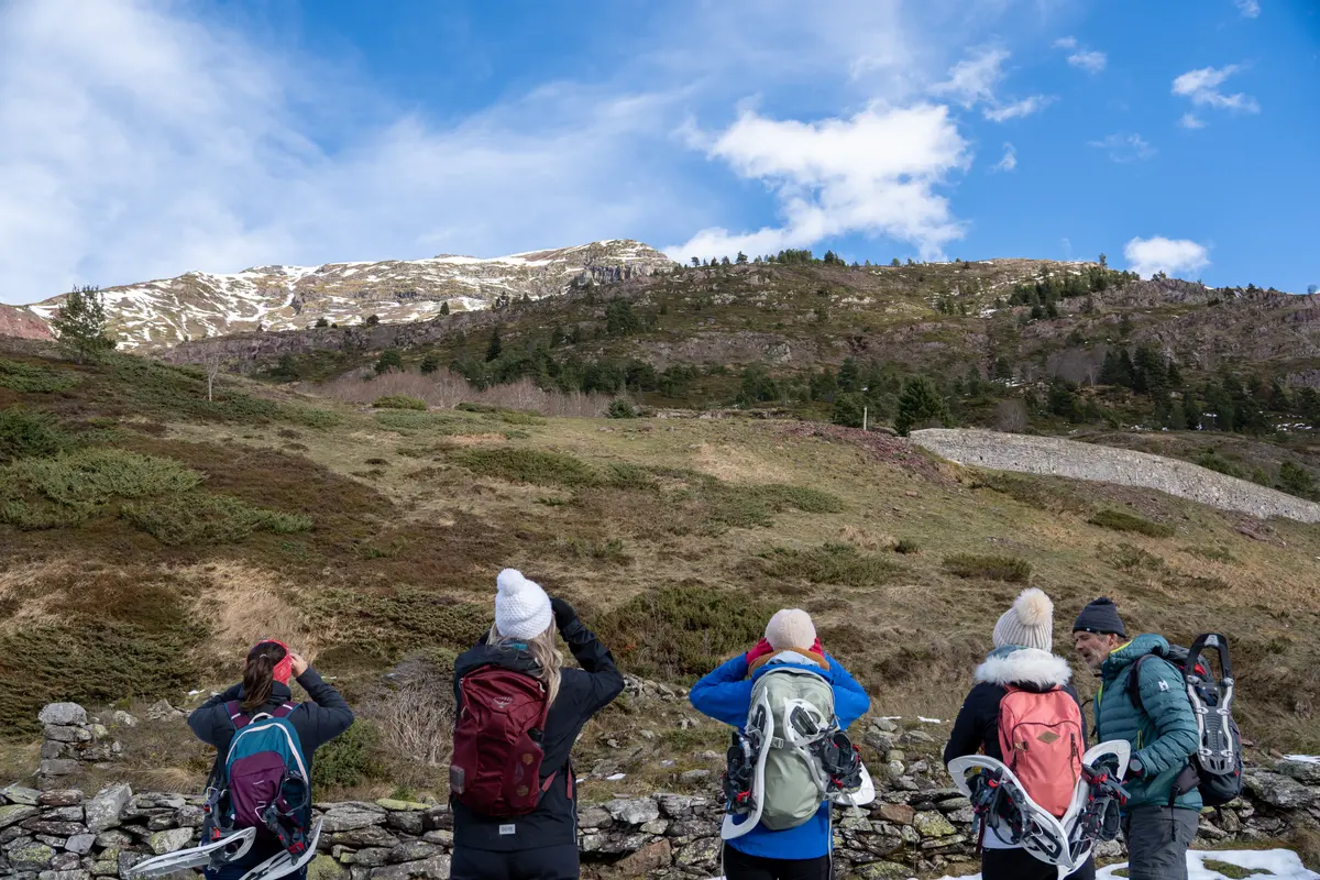 Randonnée sur les traces de la faune sauvage