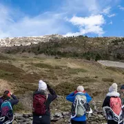 Randonnée sur les traces de la faune sauvage