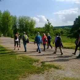 Randonnée Une balade avec Genneville Bienvenue