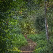 Randonnées du mardi soir
