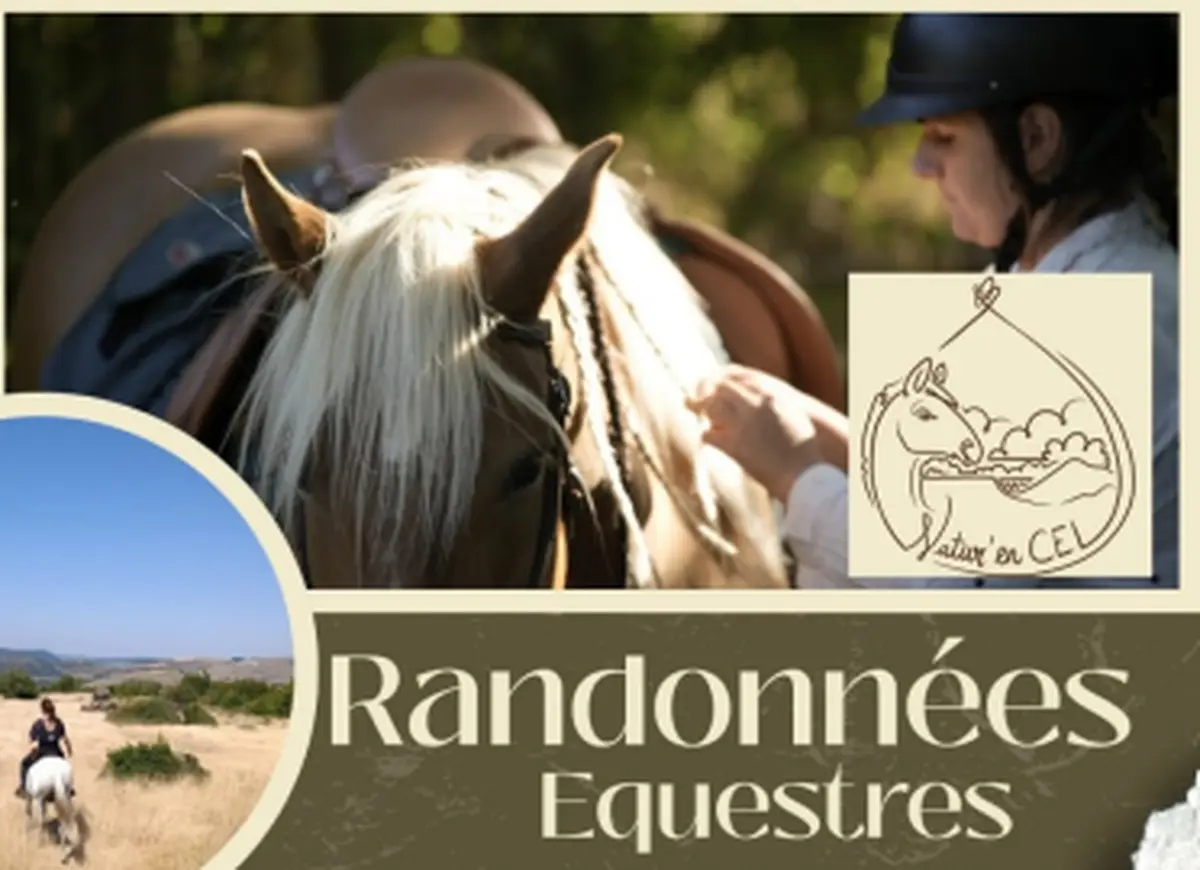 Randonnées équestres