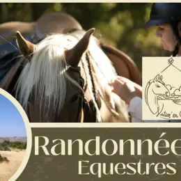 Randonnées équestres