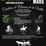 Randonnées pédestre, Vtt & équestre