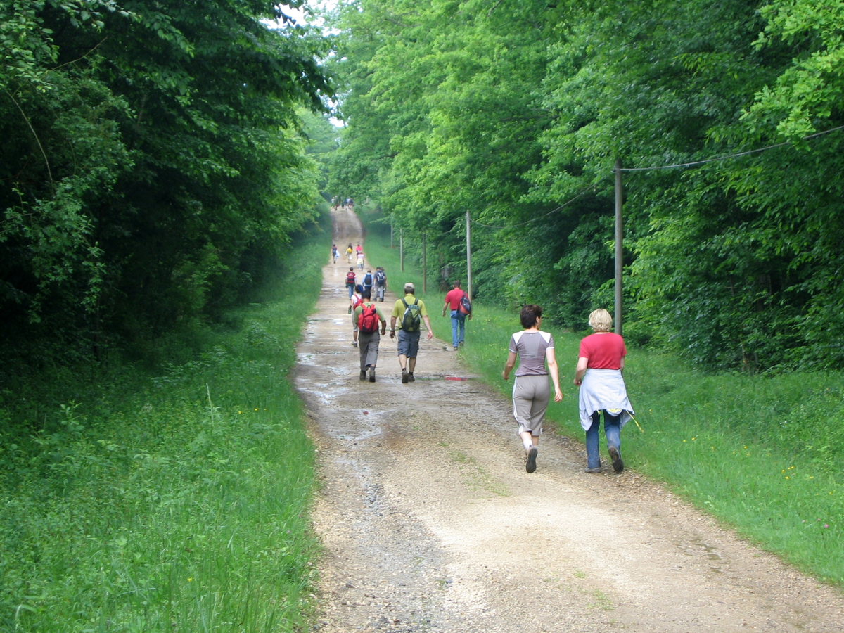 Randonnées pédestres du Téléthon à Bassignac-le-Haut