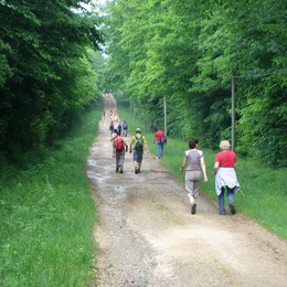 Randonnées pédestres du Téléthon à Bassignac-le-Haut