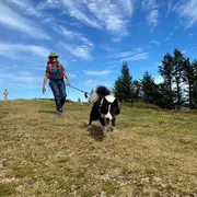 Randonner avec un chien nordique à La Pierre Saint-Martin
