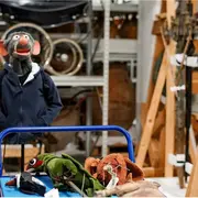 Raoul Lala : Opération CCR 2026