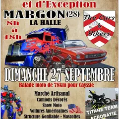 Rassemblement de véhicules anciens & d'exception #5