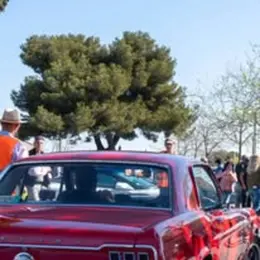 Rassemblement de véhicules anciens et de prestige