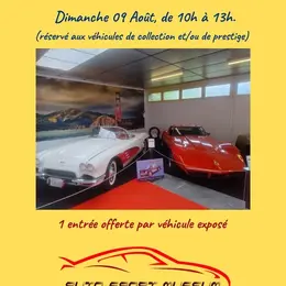 Rassemblement de voiture de collection et de prestige