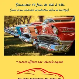Rassemblement de voiture de collection et de prestige