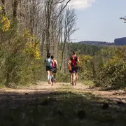 Rassemblement sportif